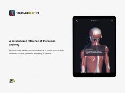 teamLab Body Pro 3d anatomy screenshot 5