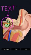 Ear Anatomy Pro. screenshot 1