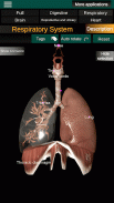 Inneren Organe 3D (Anatomie) screenshot 10