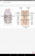 Taber's Medical Dictionary screenshot 12