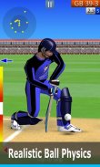 Smashing Cricket: cricket game screenshot 0