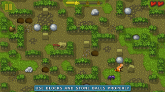 Chipmunk's Adventures - Puzzle screenshot 15