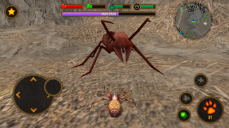 Life of Spider screenshot 5