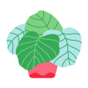 Plant Care App / Reminder