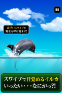 Can Dolphin Stand? screenshot 5