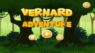 Vernard Adventure screenshot 2