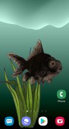 Guppy live wallpaper screenshot 0