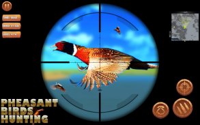 Pheasant birds hunting Games screenshot 1