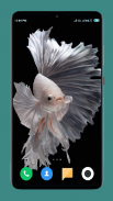 Betta Fish Wallpapers 4K screenshot 6