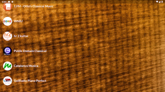 Classical Music Radio screenshot 2