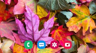 Autumn Wallpapers screenshot 15