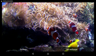 Aquarium Live Wallpaper screenshot 8