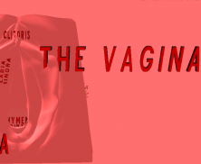 Vagina 3D screenshot 3