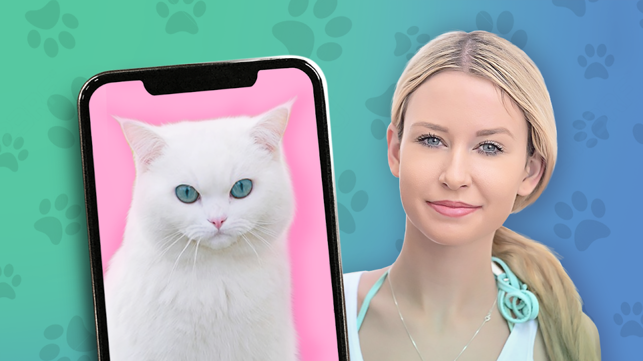 Какой ты кот? 😻😹 пранк - Загрузить APK для Android | Aptoide