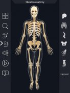 Skeleton Anatomy Pro. screenshot 15