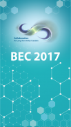 BEC 2017 screenshot 2