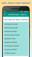 InsectID - Identify Insects screenshot 14