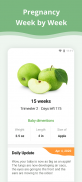 Pregnancy Week By Week screenshot 7