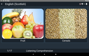 Scottish English Tests screenshot 4
