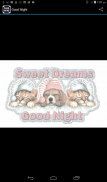 Good Night Wishes Messages screenshot 10