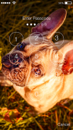 French Bulldog Puppy Sweet Screen Lock screenshot 0