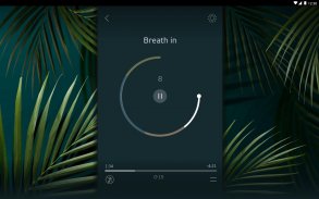 Zen: anti stress prana breathe screenshot 3