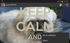 Keep Calm 4 PUPPIES screenshot 4