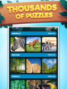 Jigsaw Adventures Puzzle Game screenshot 4