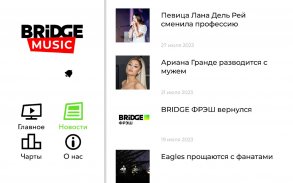 Bridge Music screenshot 0