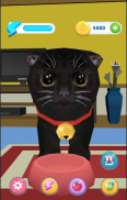 Lucy The Virtual Kitty Cat screenshot 3