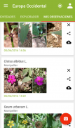 PlantNet Identificación Planta screenshot 2