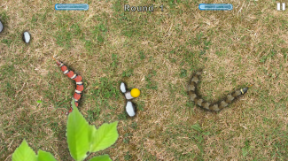Snake Touch screenshot 2
