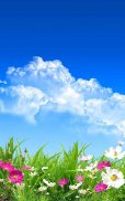 Flower Spring Live Wallpaper screenshot 0