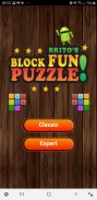 Block Fun Puzzle! screenshot 3