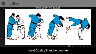 Jujitsu screenshot 2