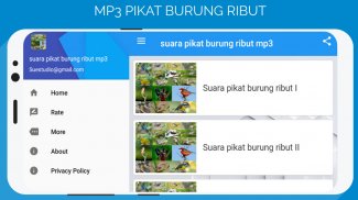 suara pikat burung ribut mp3 screenshot 0