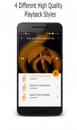 MP3 Player:  play music with high quality screenshot 1