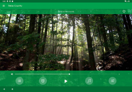Relax Campo: sons para dormir screenshot 5