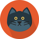 Cats Training Guide Icon