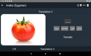 Egyptian Arabic Language Tests screenshot 3