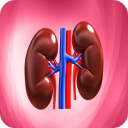 Nephrology Basics Icon