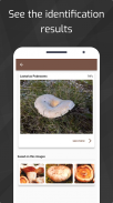 Mushrooms - AI Identifier screenshot 5