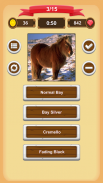 Horse Coat Colors Quiz screenshot 18