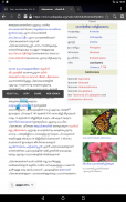 Malayalam Dictionary Pro screenshot 8