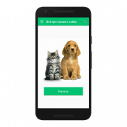 Всё про кошек и собак screenshot 10