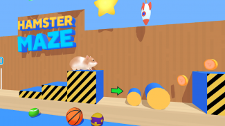 Hamster Maze screenshot 2