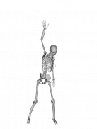 Dancing Bones screenshot 0