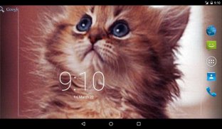 Lovely Kitten Live Wallpaper screenshot 0
