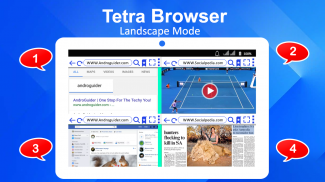 Dual Screen Browser - mehrere Bildschirme screenshot 3