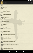 Laudate - #1 Free Catholic App screenshot 12